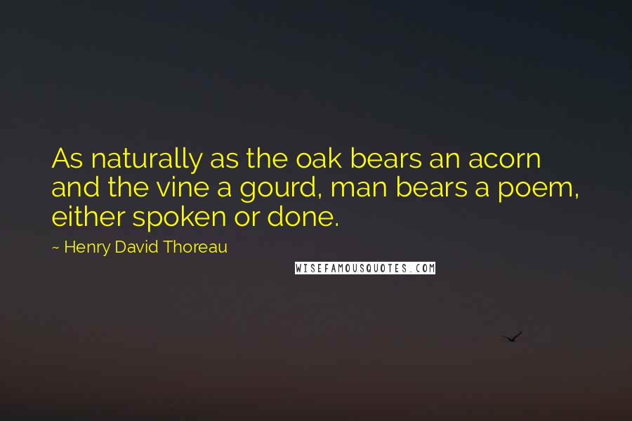 Henry David Thoreau Quotes: As naturally as the oak bears an acorn and the vine a gourd, man bears a poem, either spoken or done.