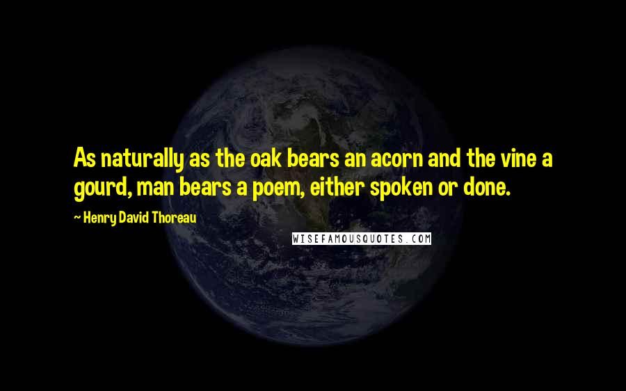 Henry David Thoreau Quotes: As naturally as the oak bears an acorn and the vine a gourd, man bears a poem, either spoken or done.