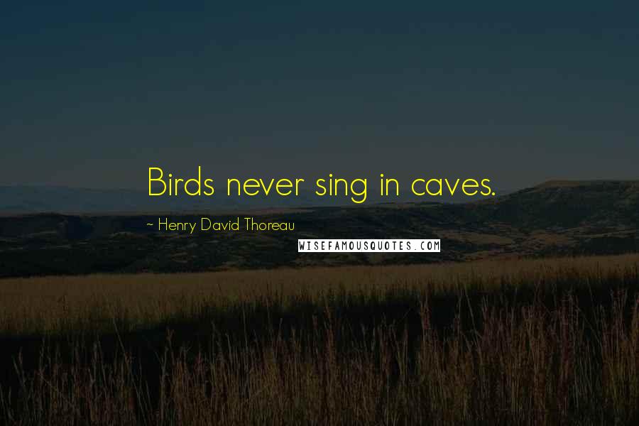 Henry David Thoreau Quotes: Birds never sing in caves.