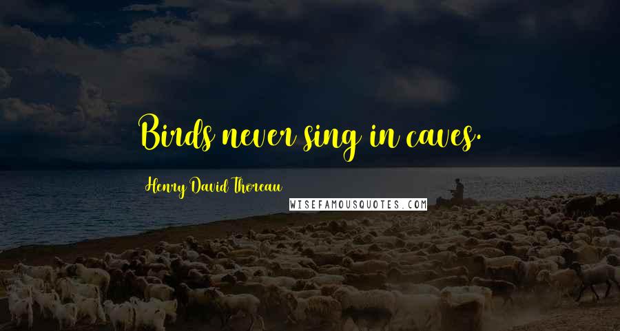 Henry David Thoreau Quotes: Birds never sing in caves.