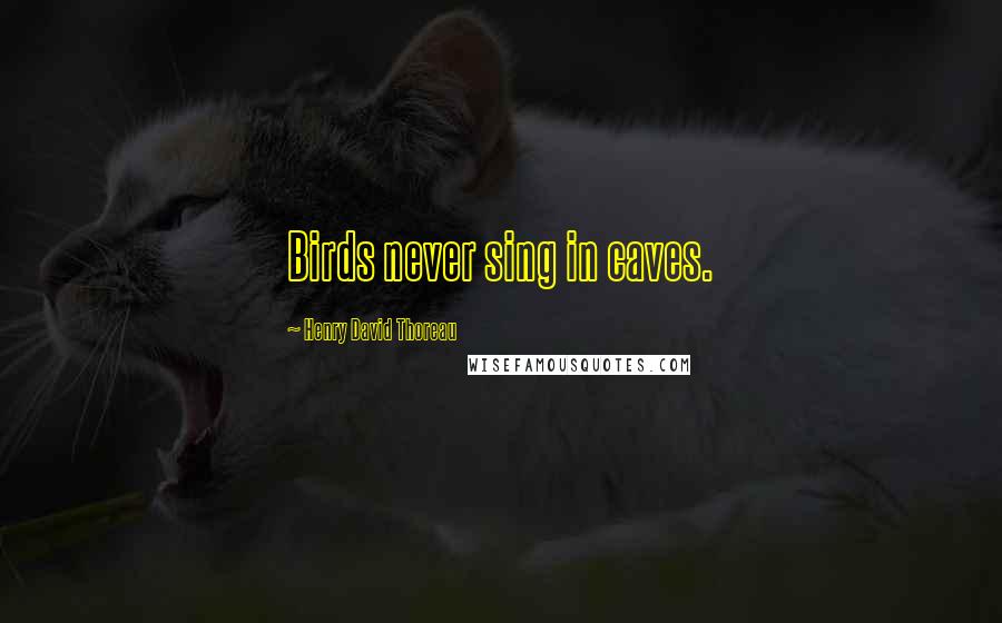 Henry David Thoreau Quotes: Birds never sing in caves.