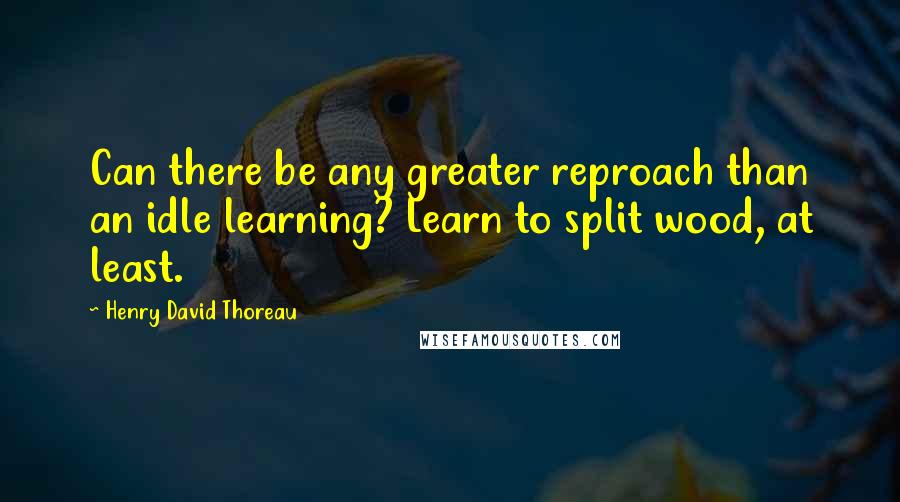 Henry David Thoreau Quotes: Can there be any greater reproach than an idle learning? Learn to split wood, at least.