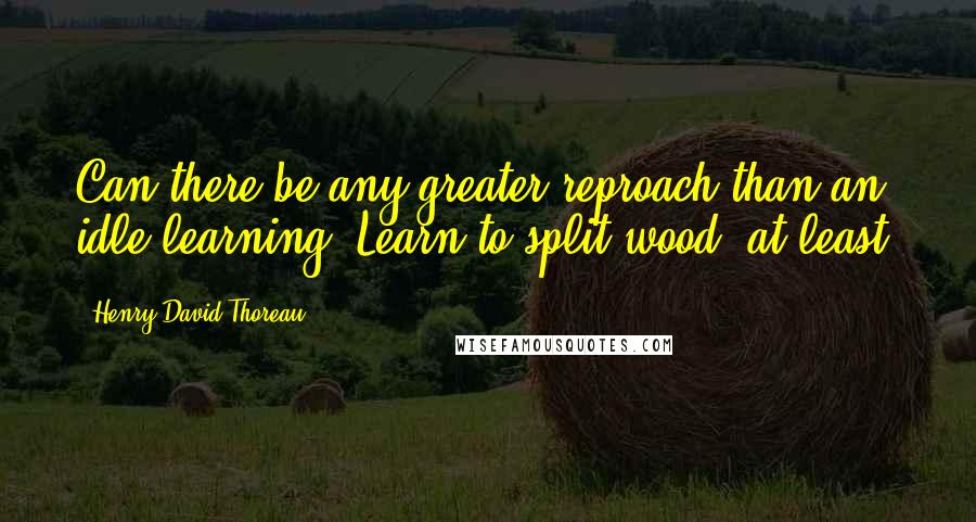 Henry David Thoreau Quotes: Can there be any greater reproach than an idle learning? Learn to split wood, at least.