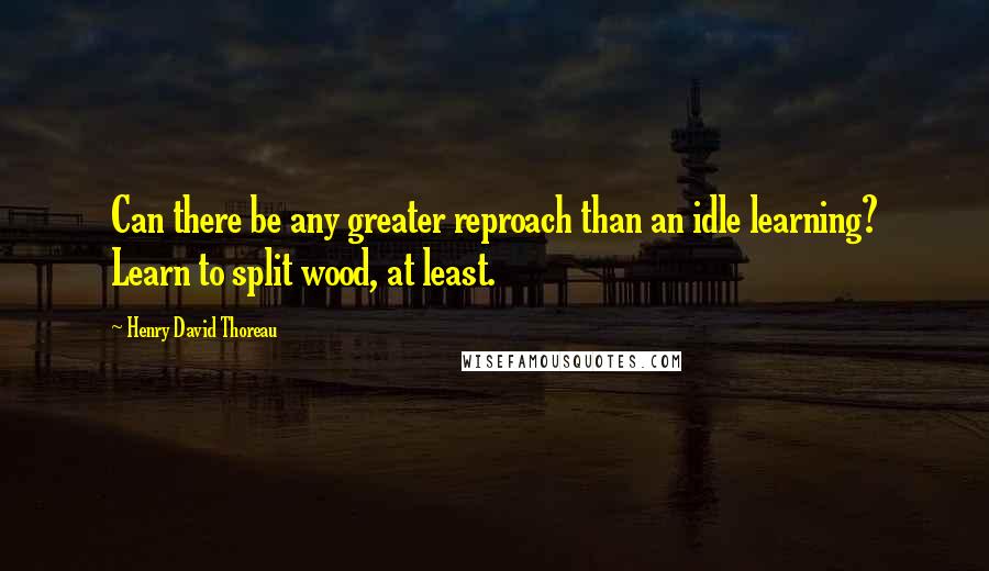 Henry David Thoreau Quotes: Can there be any greater reproach than an idle learning? Learn to split wood, at least.
