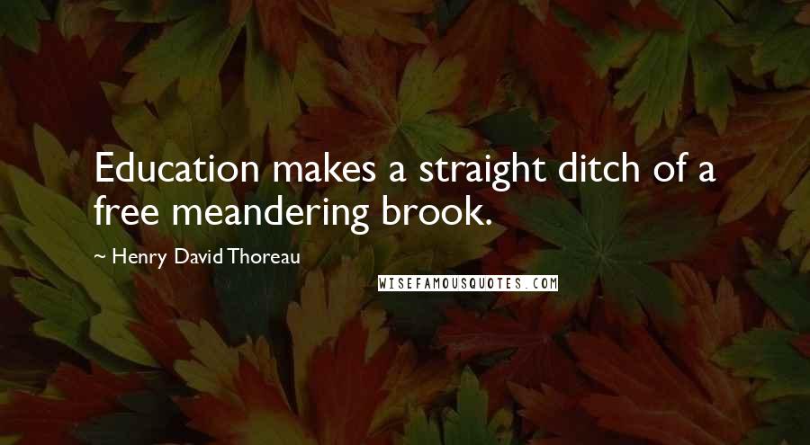 Henry David Thoreau Quotes: Education makes a straight ditch of a free meandering brook.