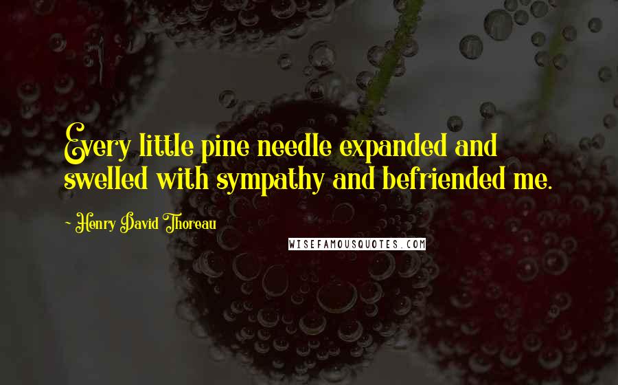 Henry David Thoreau Quotes: Every little pine needle expanded and swelled with sympathy and befriended me.