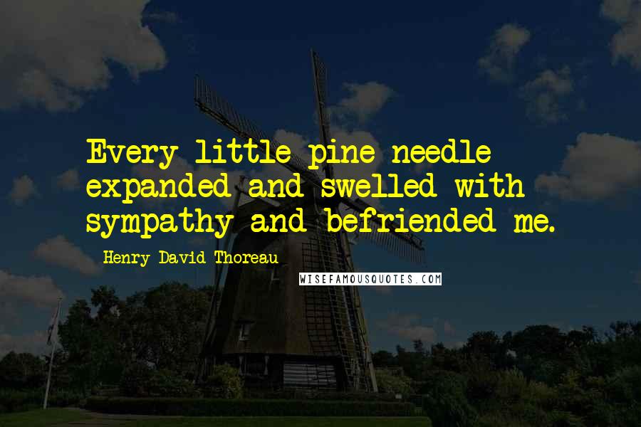 Henry David Thoreau Quotes: Every little pine needle expanded and swelled with sympathy and befriended me.