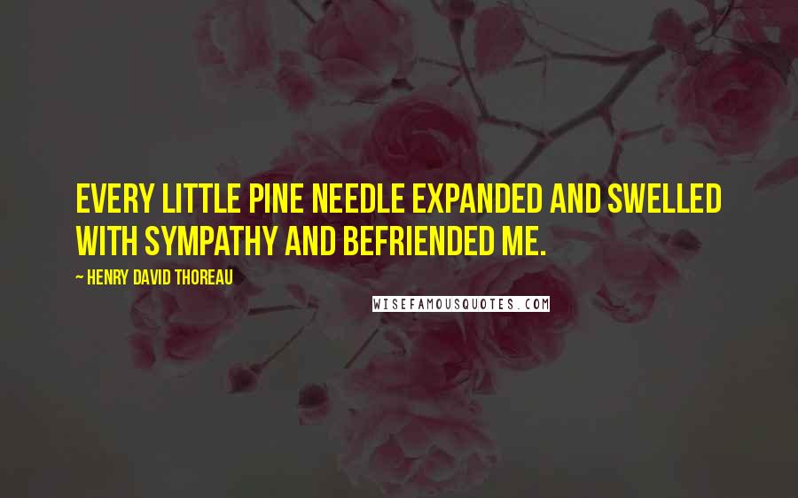 Henry David Thoreau Quotes: Every little pine needle expanded and swelled with sympathy and befriended me.