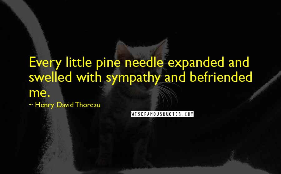 Henry David Thoreau Quotes: Every little pine needle expanded and swelled with sympathy and befriended me.