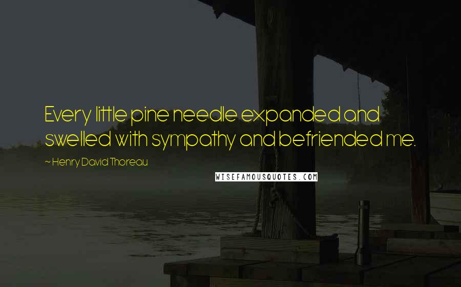 Henry David Thoreau Quotes: Every little pine needle expanded and swelled with sympathy and befriended me.