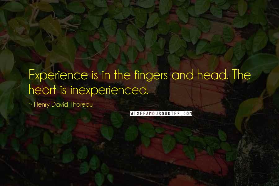 Henry David Thoreau Quotes: Experience is in the fingers and head. The heart is inexperienced.