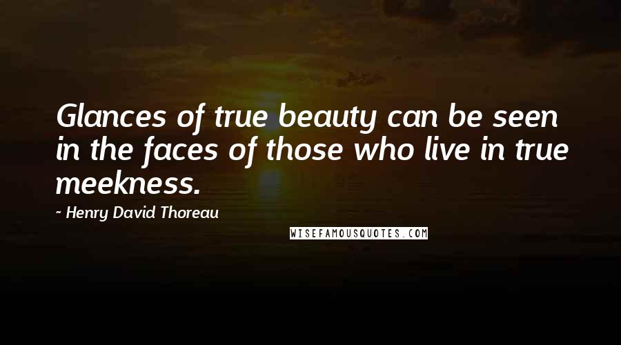 Henry David Thoreau Quotes: Glances of true beauty can be seen in the faces of those who live in true meekness.