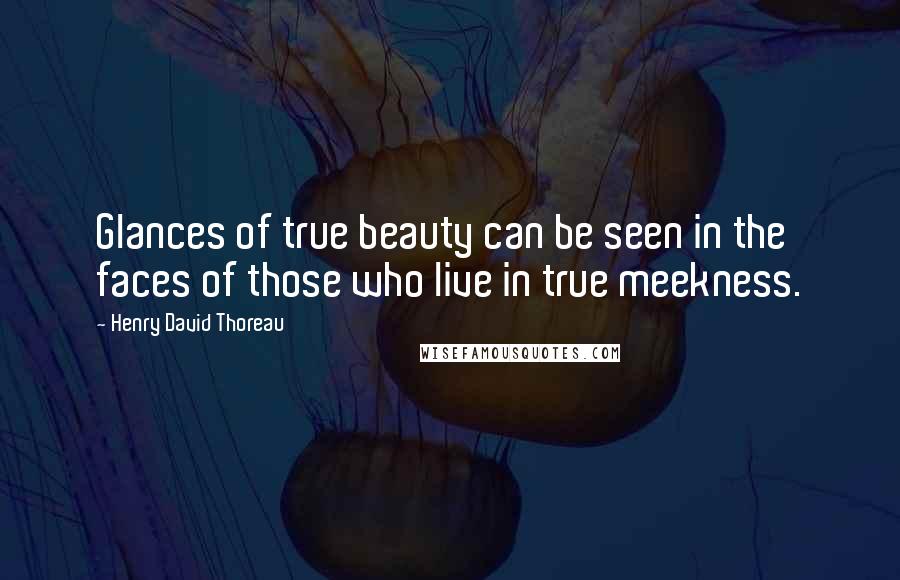 Henry David Thoreau Quotes: Glances of true beauty can be seen in the faces of those who live in true meekness.