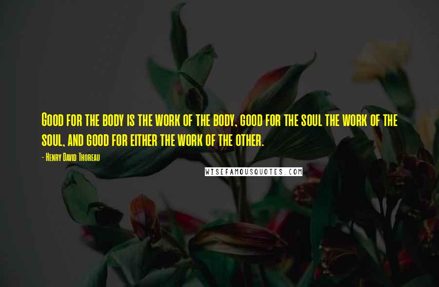 Henry David Thoreau Quotes: Good for the body is the work of the body, good for the soul the work of the soul, and good for either the work of the other.