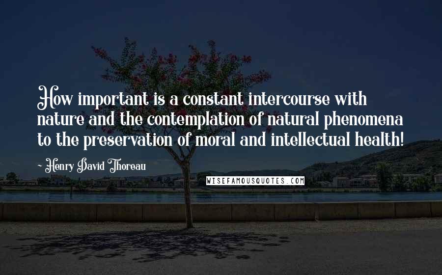 Henry David Thoreau Quotes: How important is a constant intercourse with nature and the contemplation of natural phenomena to the preservation of moral and intellectual health!