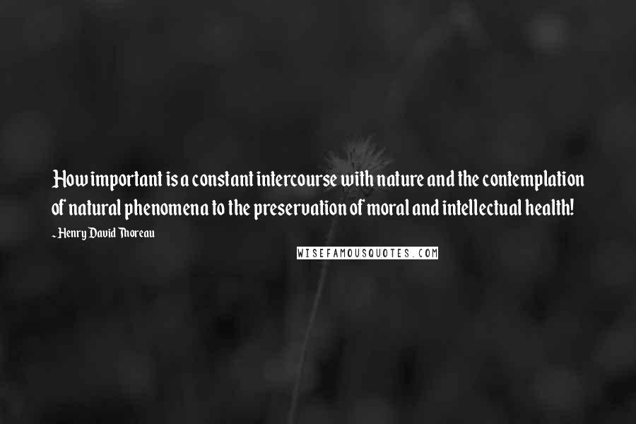 Henry David Thoreau Quotes: How important is a constant intercourse with nature and the contemplation of natural phenomena to the preservation of moral and intellectual health!