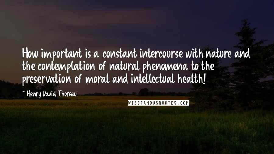 Henry David Thoreau Quotes: How important is a constant intercourse with nature and the contemplation of natural phenomena to the preservation of moral and intellectual health!