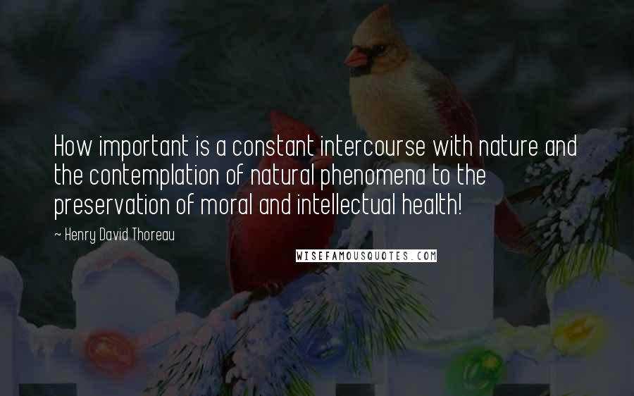 Henry David Thoreau Quotes: How important is a constant intercourse with nature and the contemplation of natural phenomena to the preservation of moral and intellectual health!