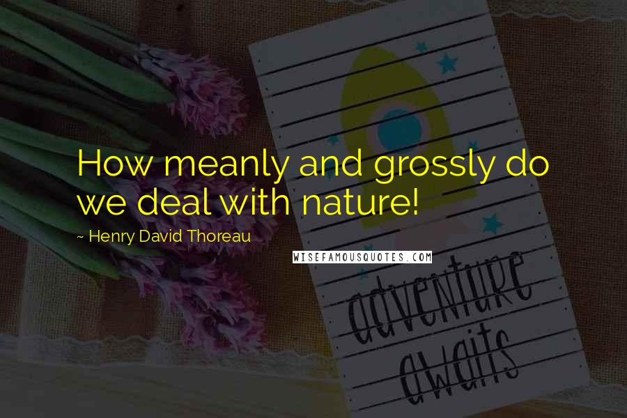 Henry David Thoreau Quotes: How meanly and grossly do we deal with nature!