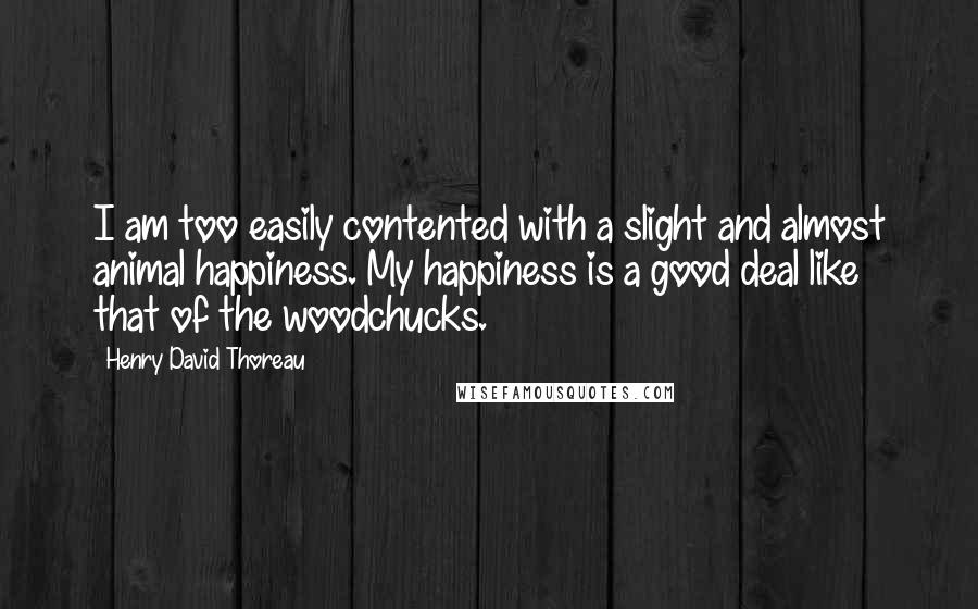 Henry David Thoreau Quotes: I am too easily contented with a slight and almost animal happiness. My happiness is a good deal like that of the woodchucks.