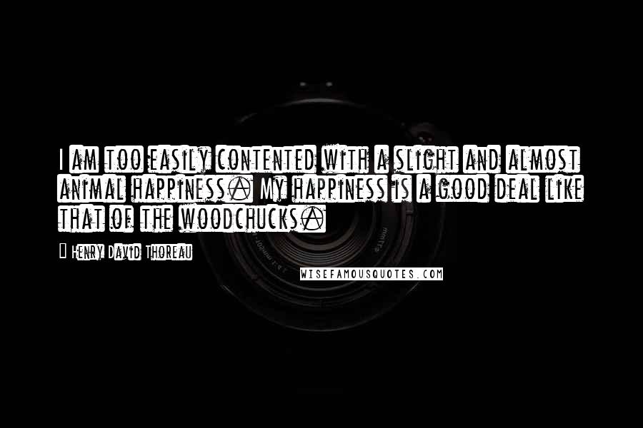 Henry David Thoreau Quotes: I am too easily contented with a slight and almost animal happiness. My happiness is a good deal like that of the woodchucks.