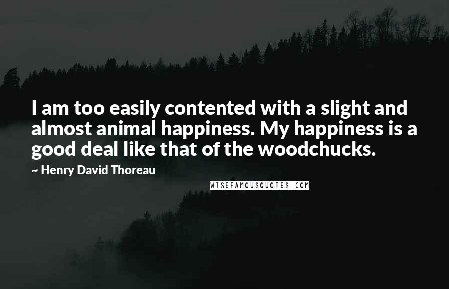 Henry David Thoreau Quotes: I am too easily contented with a slight and almost animal happiness. My happiness is a good deal like that of the woodchucks.