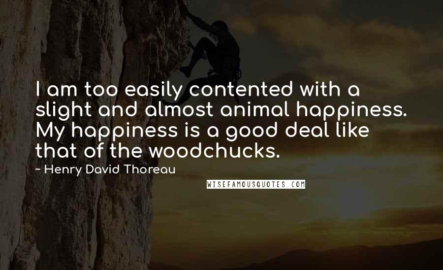 Henry David Thoreau Quotes: I am too easily contented with a slight and almost animal happiness. My happiness is a good deal like that of the woodchucks.