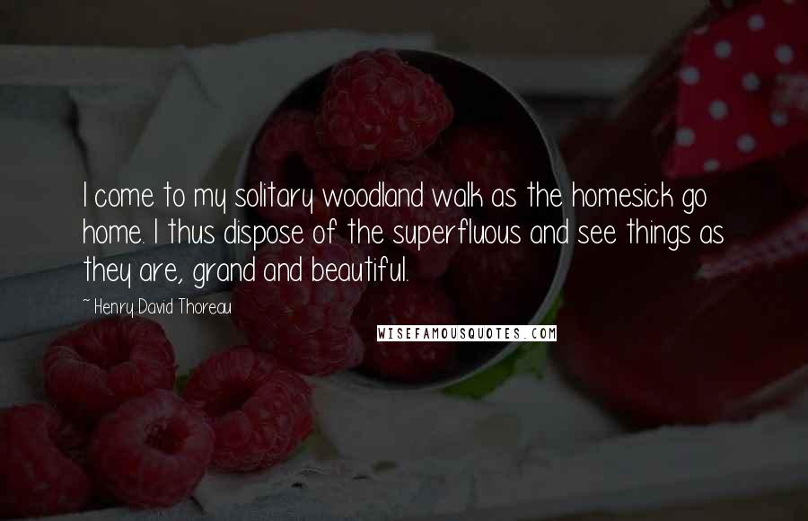 Henry David Thoreau Quotes: I come to my solitary woodland walk as the homesick go home. I thus dispose of the superfluous and see things as they are, grand and beautiful.