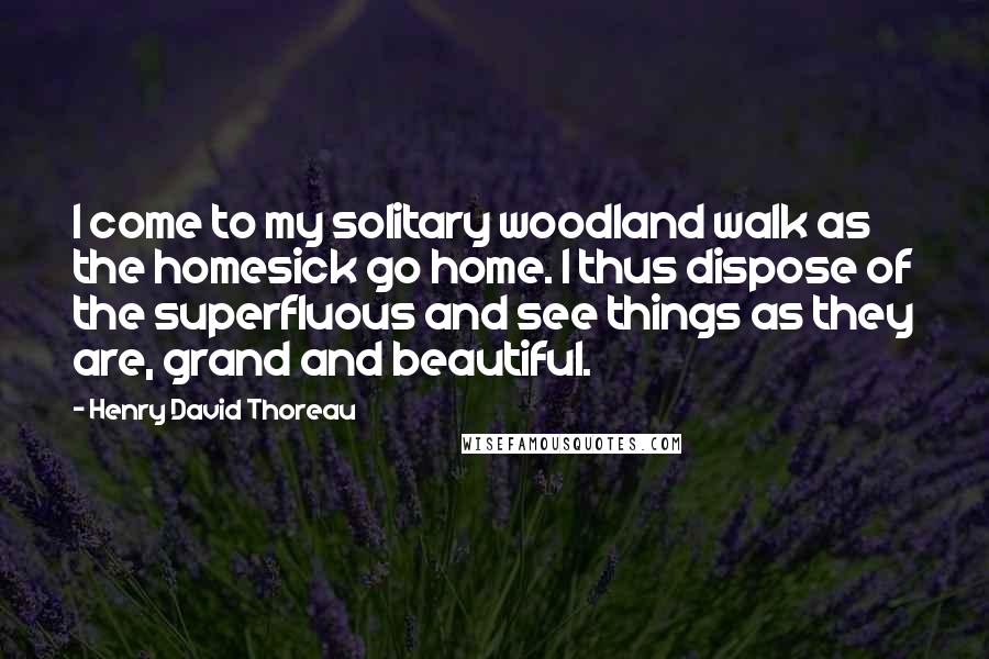 Henry David Thoreau Quotes: I come to my solitary woodland walk as the homesick go home. I thus dispose of the superfluous and see things as they are, grand and beautiful.