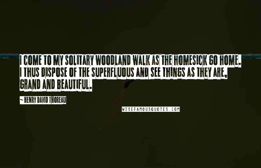 Henry David Thoreau Quotes: I come to my solitary woodland walk as the homesick go home. I thus dispose of the superfluous and see things as they are, grand and beautiful.