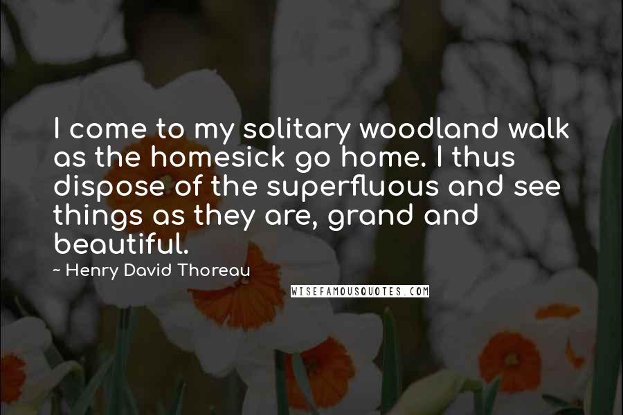 Henry David Thoreau Quotes: I come to my solitary woodland walk as the homesick go home. I thus dispose of the superfluous and see things as they are, grand and beautiful.