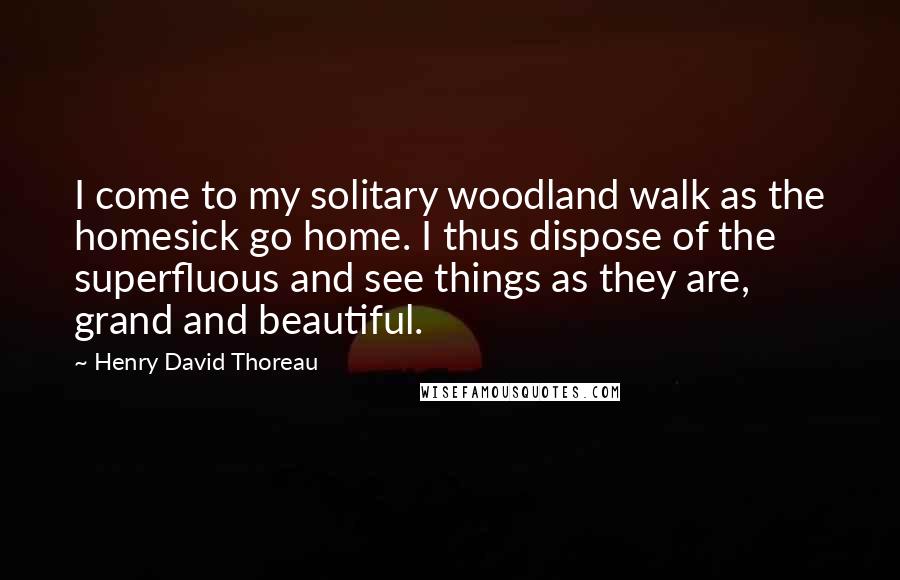 Henry David Thoreau Quotes: I come to my solitary woodland walk as the homesick go home. I thus dispose of the superfluous and see things as they are, grand and beautiful.
