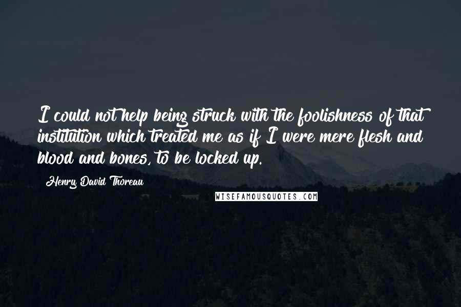 Henry David Thoreau Quotes: I could not help being struck with the foolishness of that institution which treated me as if I were mere flesh and blood and bones, to be locked up.