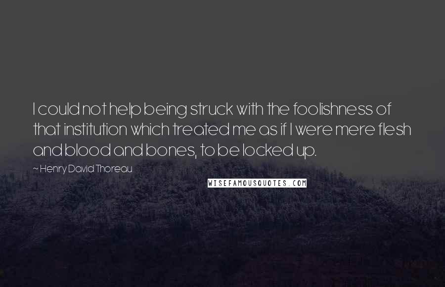 Henry David Thoreau Quotes: I could not help being struck with the foolishness of that institution which treated me as if I were mere flesh and blood and bones, to be locked up.