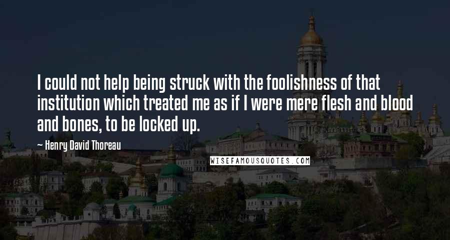Henry David Thoreau Quotes: I could not help being struck with the foolishness of that institution which treated me as if I were mere flesh and blood and bones, to be locked up.