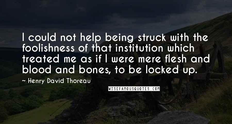 Henry David Thoreau Quotes: I could not help being struck with the foolishness of that institution which treated me as if I were mere flesh and blood and bones, to be locked up.