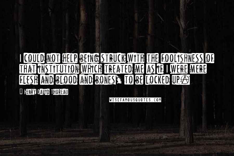 Henry David Thoreau Quotes: I could not help being struck with the foolishness of that institution which treated me as if I were mere flesh and blood and bones, to be locked up.