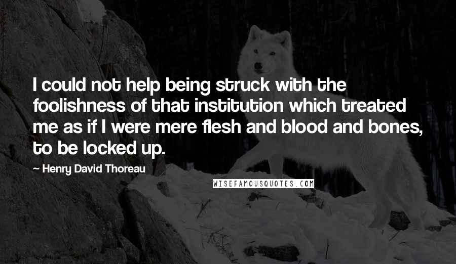 Henry David Thoreau Quotes: I could not help being struck with the foolishness of that institution which treated me as if I were mere flesh and blood and bones, to be locked up.