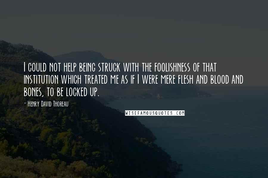 Henry David Thoreau Quotes: I could not help being struck with the foolishness of that institution which treated me as if I were mere flesh and blood and bones, to be locked up.