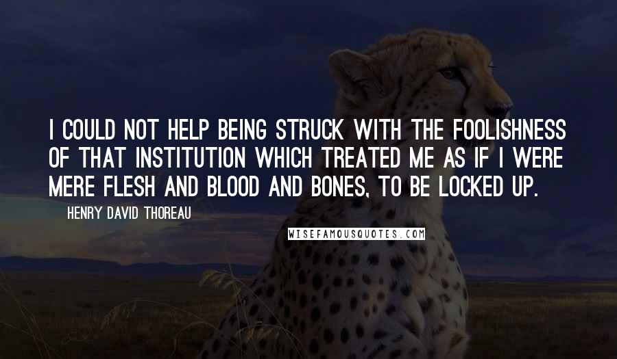 Henry David Thoreau Quotes: I could not help being struck with the foolishness of that institution which treated me as if I were mere flesh and blood and bones, to be locked up.