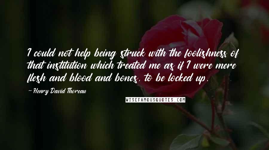 Henry David Thoreau Quotes: I could not help being struck with the foolishness of that institution which treated me as if I were mere flesh and blood and bones, to be locked up.