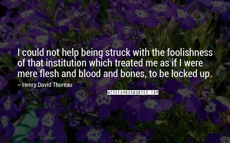 Henry David Thoreau Quotes: I could not help being struck with the foolishness of that institution which treated me as if I were mere flesh and blood and bones, to be locked up.