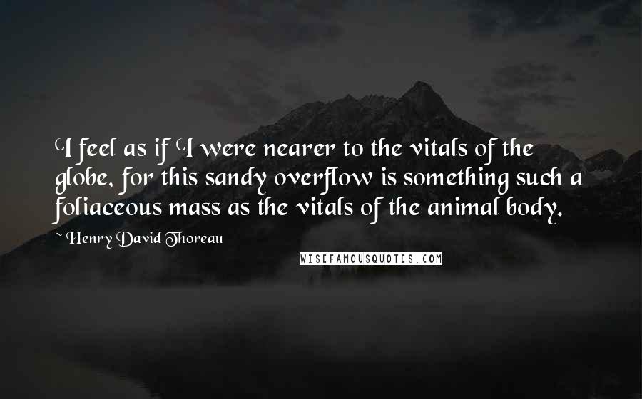 Henry David Thoreau Quotes: I feel as if I were nearer to the vitals of the globe, for this sandy overflow is something such a foliaceous mass as the vitals of the animal body.
