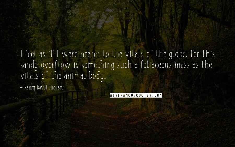 Henry David Thoreau Quotes: I feel as if I were nearer to the vitals of the globe, for this sandy overflow is something such a foliaceous mass as the vitals of the animal body.
