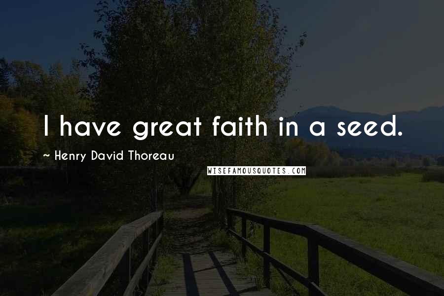 Henry David Thoreau Quotes: I have great faith in a seed.