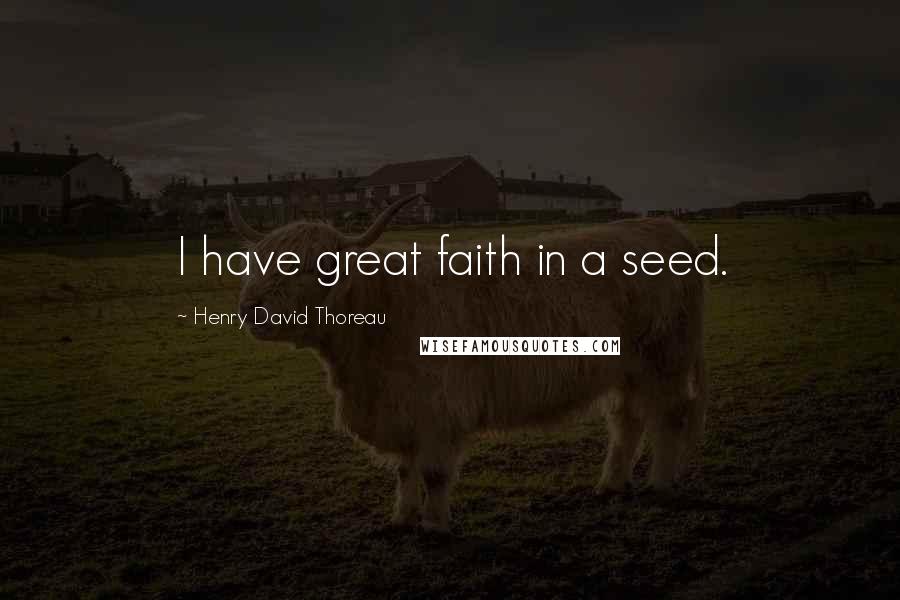 Henry David Thoreau Quotes: I have great faith in a seed.