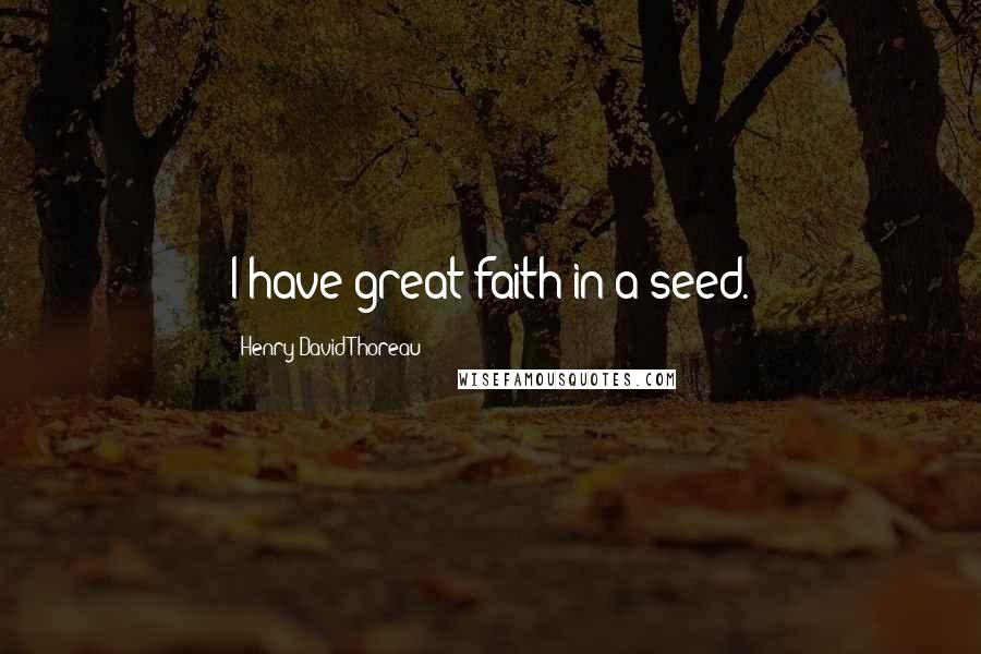 Henry David Thoreau Quotes: I have great faith in a seed.