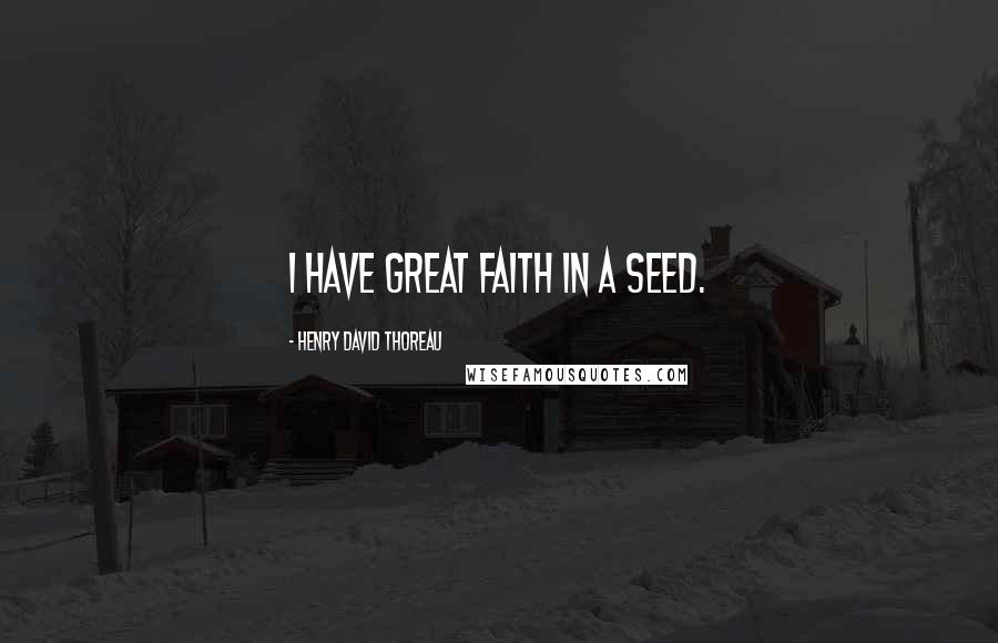 Henry David Thoreau Quotes: I have great faith in a seed.