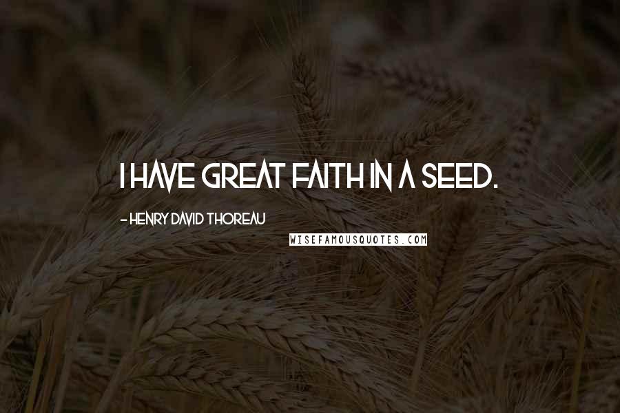 Henry David Thoreau Quotes: I have great faith in a seed.