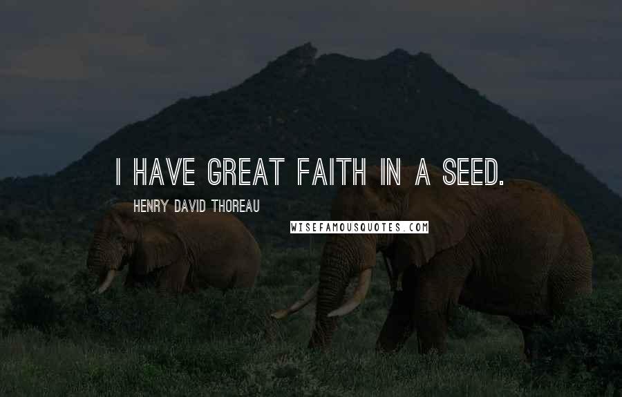 Henry David Thoreau Quotes: I have great faith in a seed.